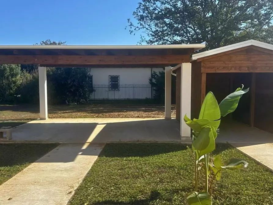 Immagine 8 di Villa in vendita  a Bibbona