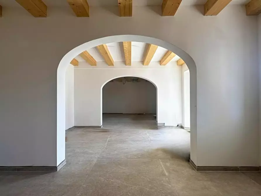 Immagine 3 di Villa in vendita  a Bibbona