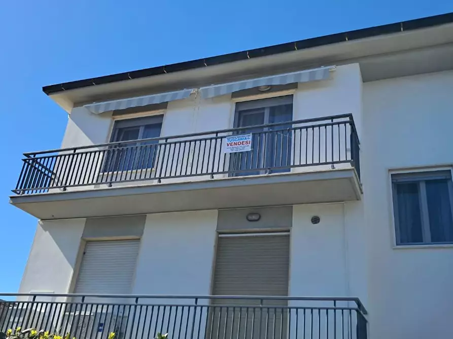 Immagine 20 di Appartamento in vendita  a Cecina