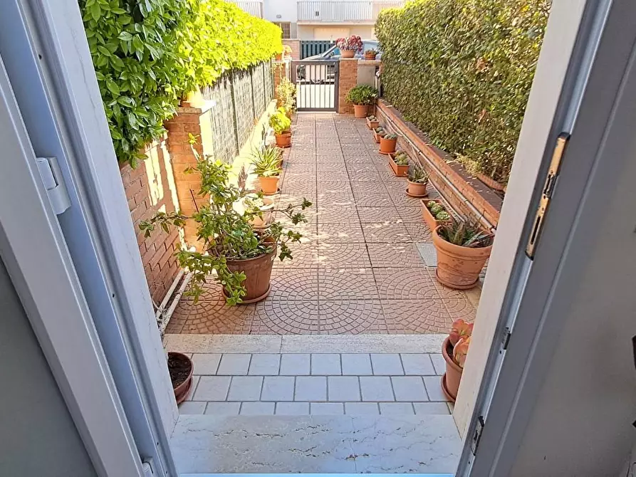 Immagine 19 di Appartamento in vendita  a Cecina