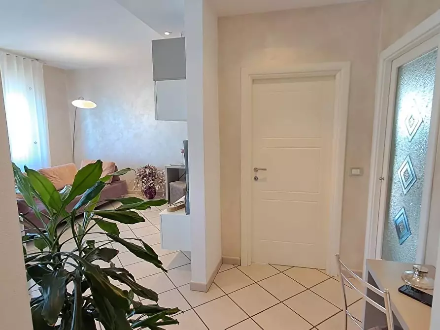 Immagine 7 di Appartamento in vendita  a Cecina