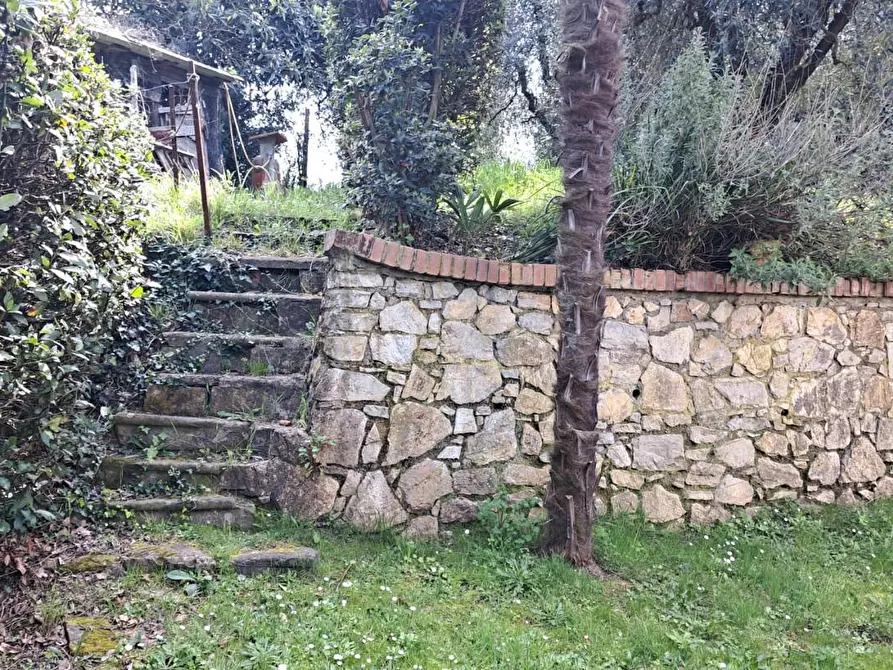 Immagine 28 di Casa indipendente in vendita  a Peccioli