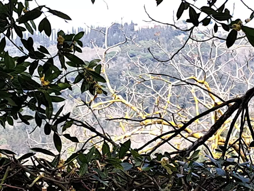 Immagine 29 di Casa indipendente in vendita  a Peccioli