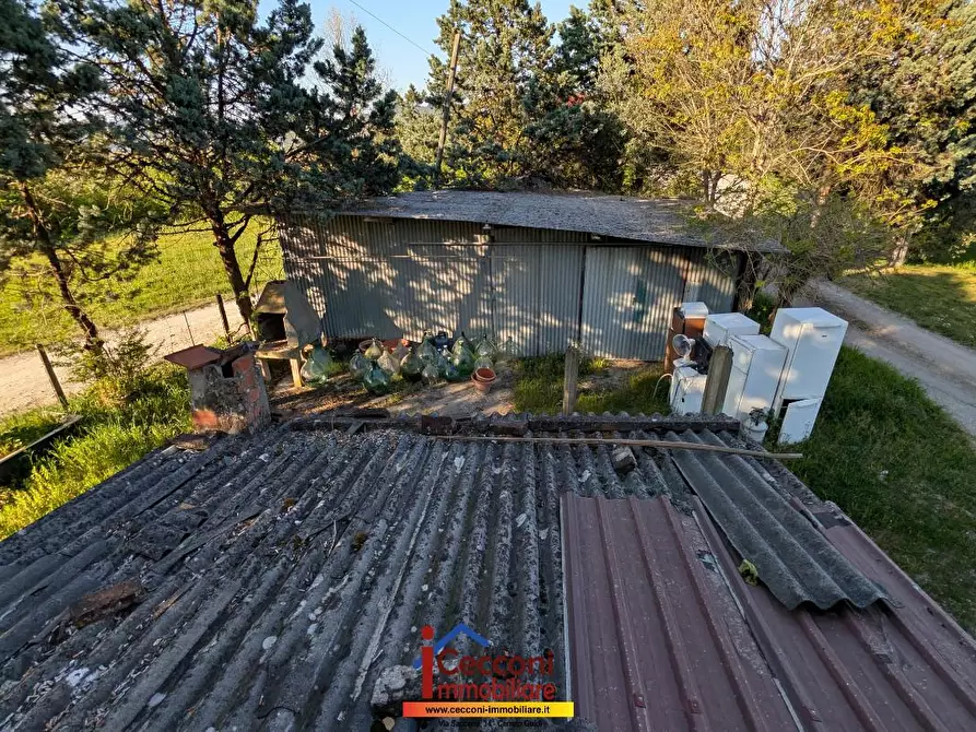 Immagine 2 di Terratetto in vendita  a Lamporecchio