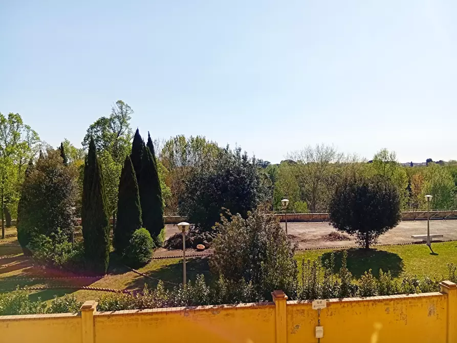 Immagine 8 di Appartamento in vendita  a Vicopisano