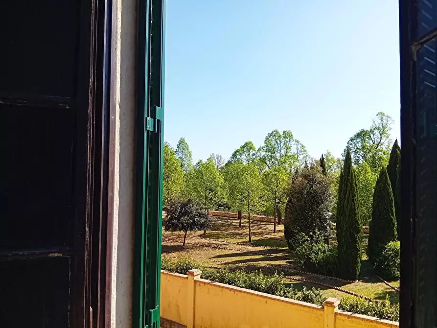 Immagine 7 di Appartamento in vendita  a Vicopisano