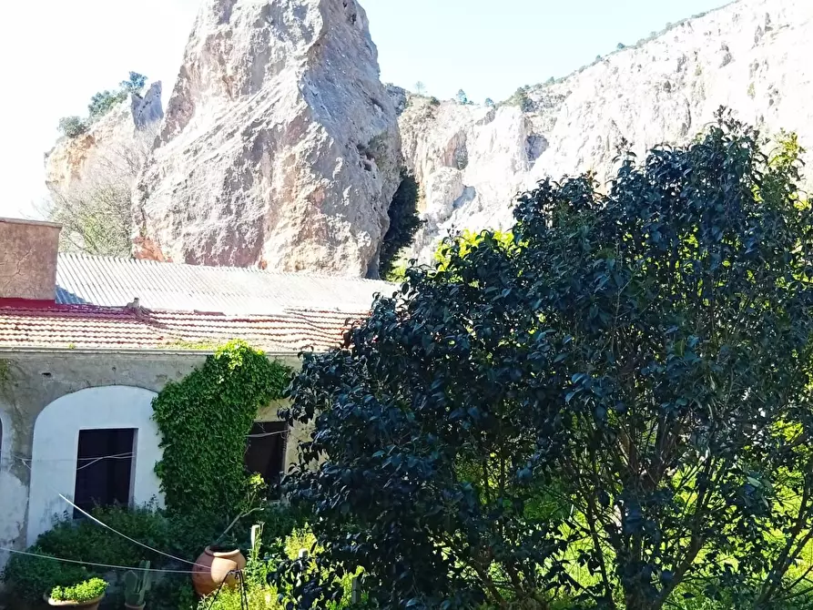 Immagine 1 di Appartamento in vendita  a Vicopisano