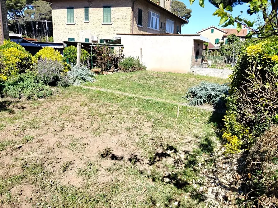 Immagine 7 di Casa quadrifamiliare in vendita  a Rosignano Marittimo