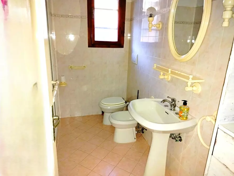 Immagine 6 di Casa quadrifamiliare in vendita  a Rosignano Marittimo