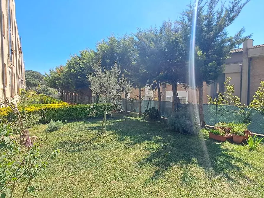 Immagine 22 di Appartamento in vendita  a Rosignano Marittimo