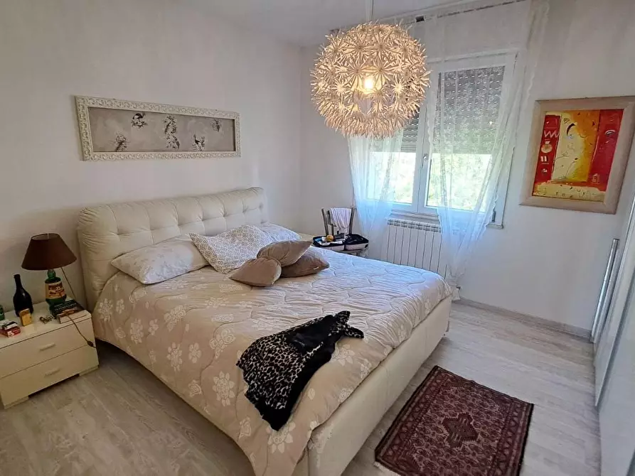 Immagine 14 di Appartamento in vendita  a Rosignano Marittimo