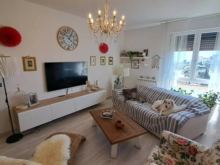 Immagine 2 di Appartamento in vendita  a Rosignano Marittimo