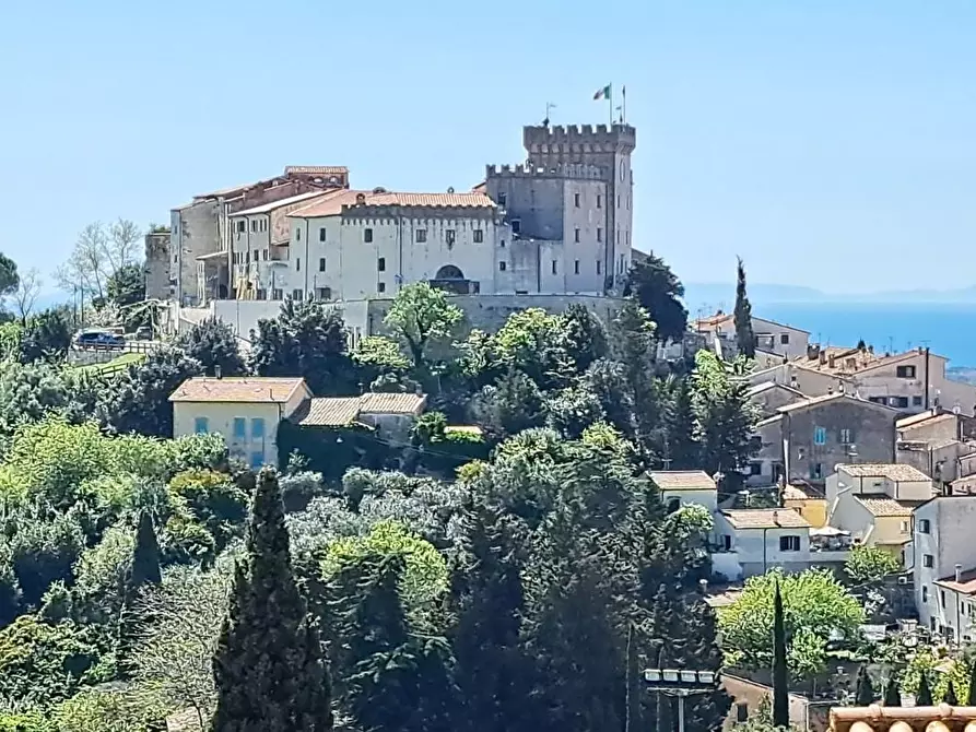 Immagine 19 di Appartamento in vendita  a Rosignano Marittimo