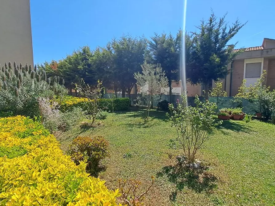 Immagine 21 di Appartamento in vendita  a Rosignano Marittimo