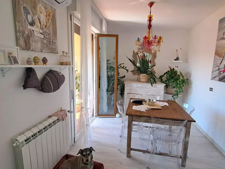 Immagine 6 di Appartamento in vendita  a Rosignano Marittimo