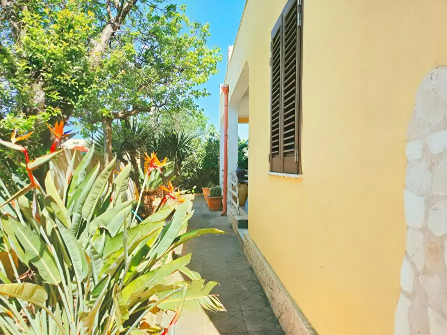 Immagine 35 di Villa in vendita  a Porto Cesareo