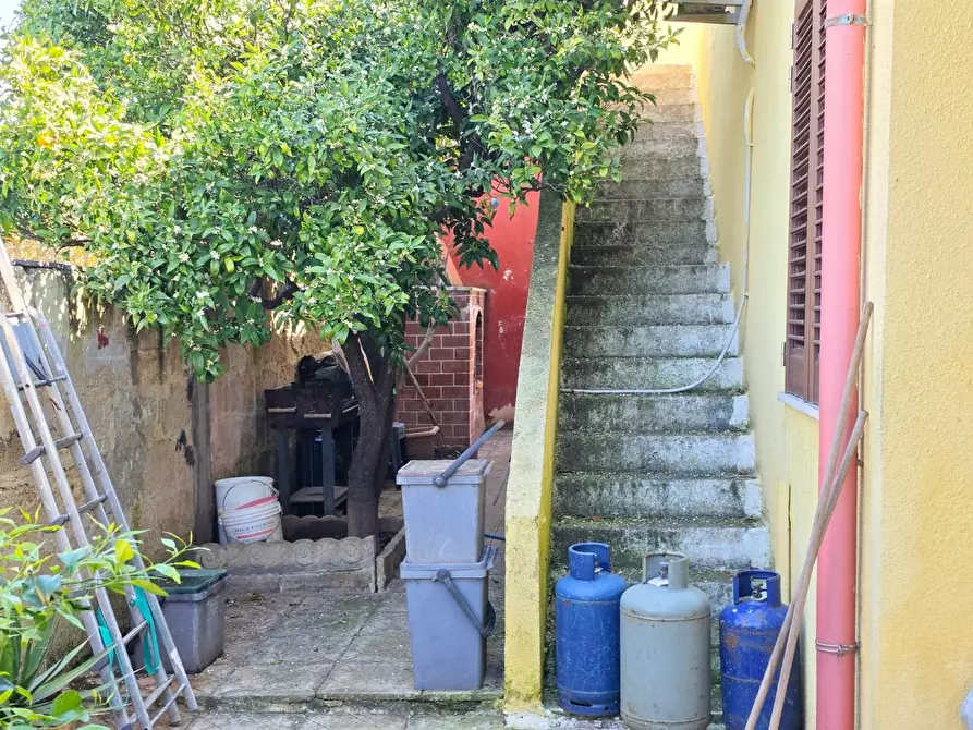 Immagine 27 di Villa in vendita  a Porto Cesareo