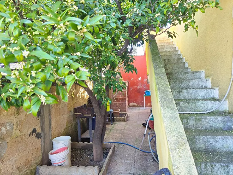 Immagine 42 di Villa in vendita  a Porto Cesareo