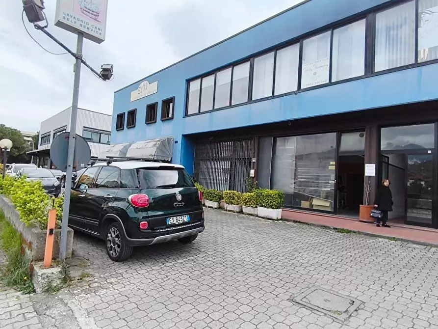 Immagine 6 di Locale commerciale in vendita  a Carrara