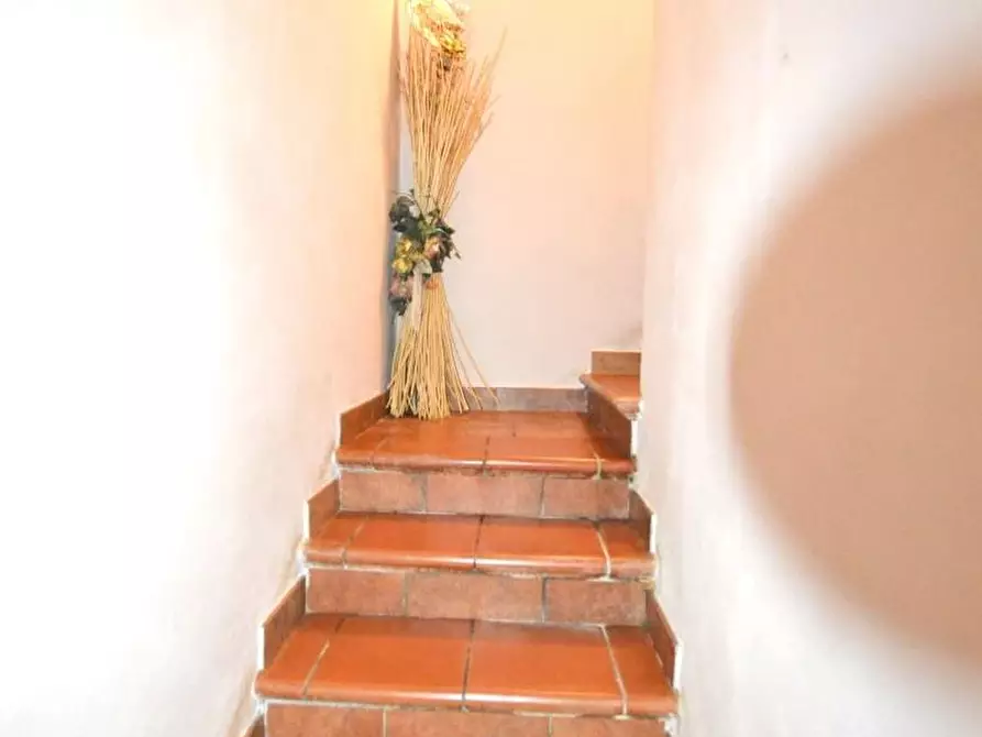 Immagine 8 di Terratetto in vendita  a Capannori