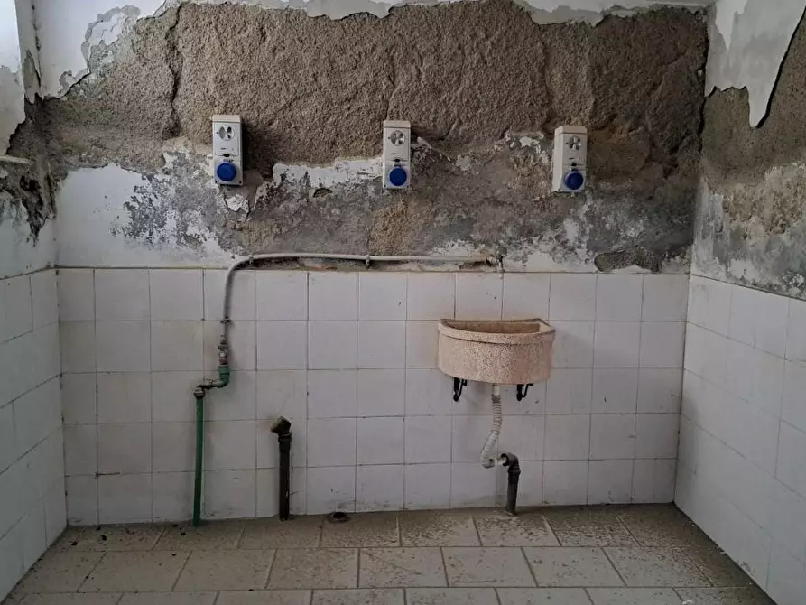 Immagine 17 di Appartamento in vendita  a Santa Luce