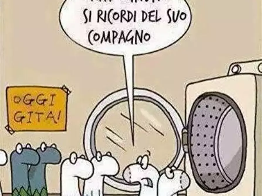 Immagine 1 di Attività commerciale in vendita  a Pisa