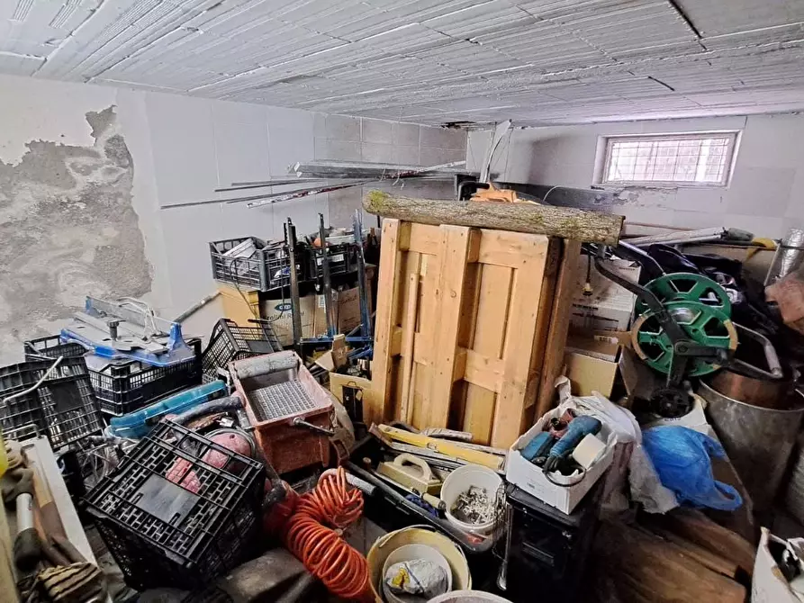 Immagine 10 di Appartamento in vendita  a Rosignano Marittimo