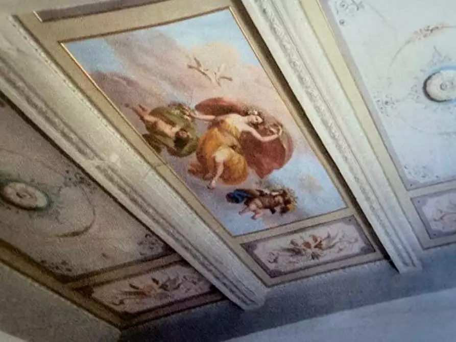 Immagine 6 di Appartamento in vendita  a Livorno