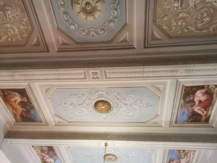 Immagine 36 di Appartamento in vendita  a Livorno