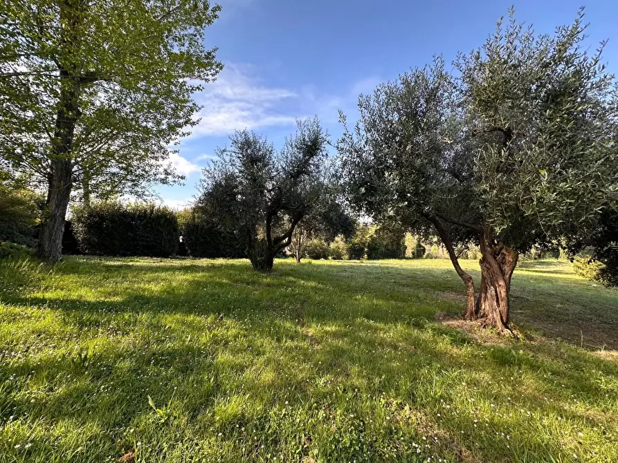 Immagine 53 di Casa colonica in vendita  a Crespina Lorenzana