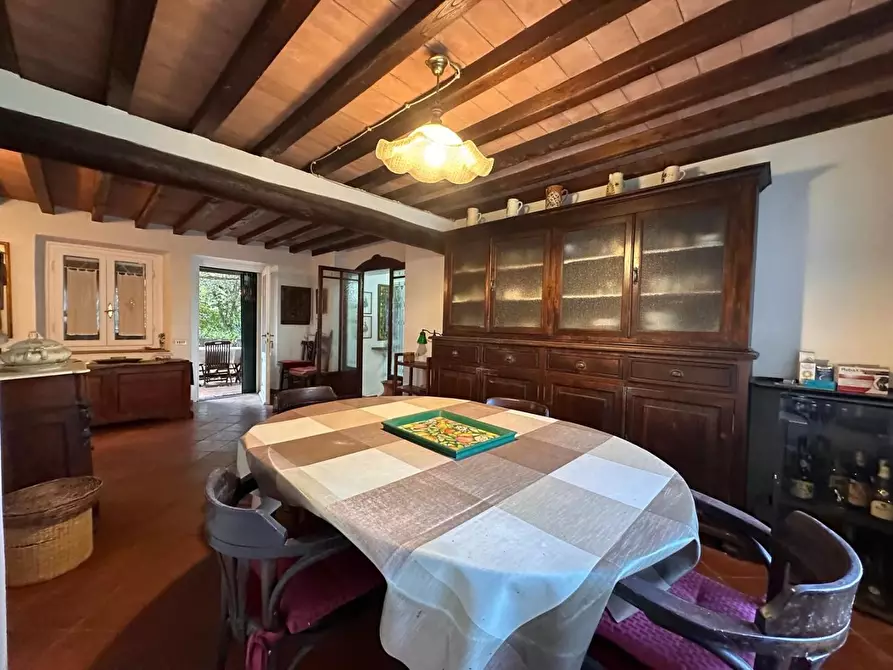 Immagine 6 di Casa colonica in vendita  a Crespina Lorenzana