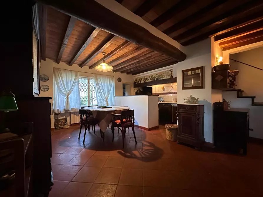 Immagine 5 di Casa colonica in vendita  a Crespina Lorenzana