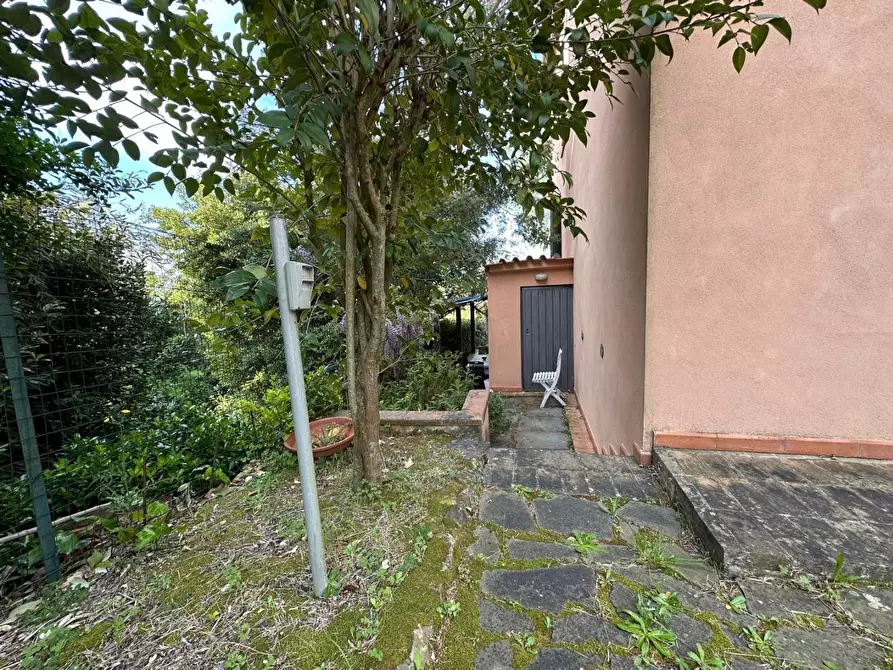 Immagine 50 di Casa colonica in vendita  a Crespina Lorenzana