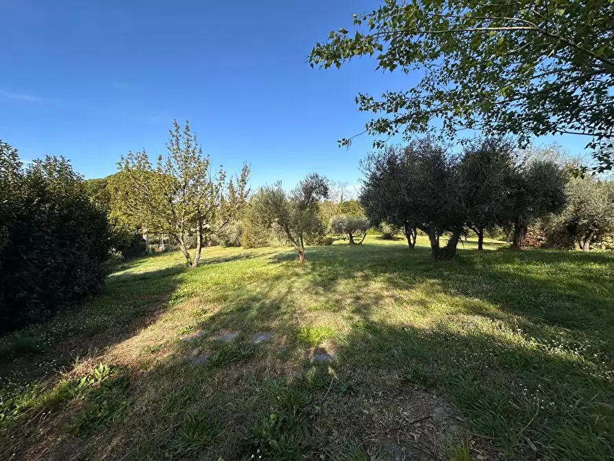 Immagine 55 di Casa colonica in vendita  a Crespina Lorenzana