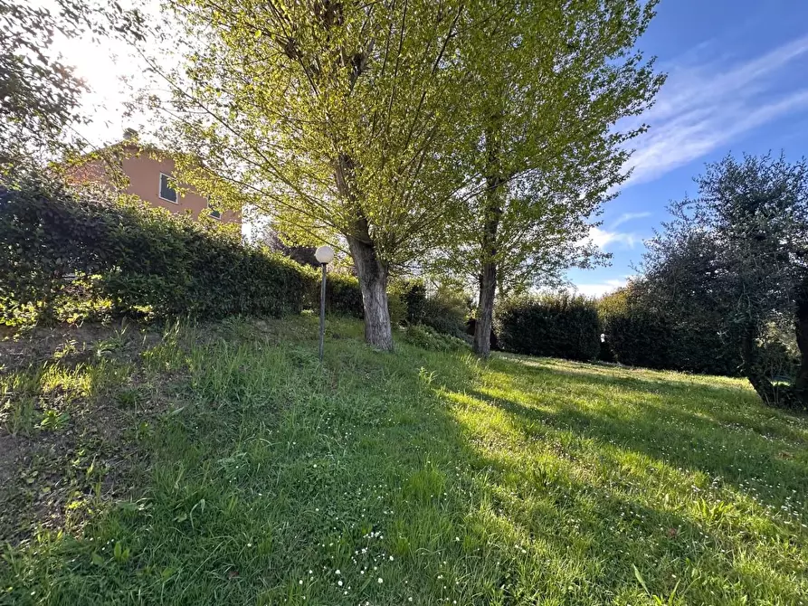 Immagine 42 di Casa colonica in vendita  a Crespina Lorenzana