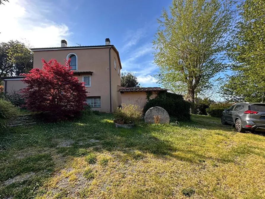 Immagine 43 di Casa colonica in vendita  a Crespina Lorenzana