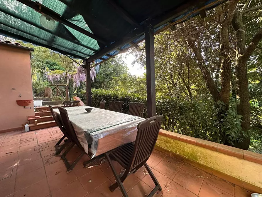 Immagine 38 di Casa colonica in vendita  a Crespina Lorenzana