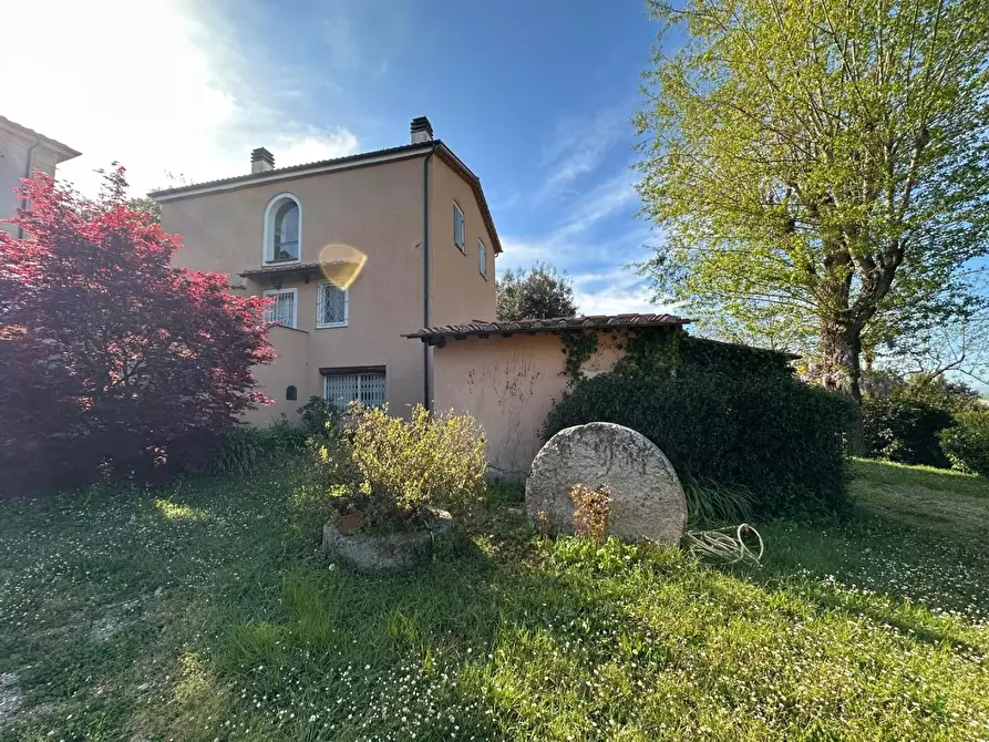 Immagine 44 di Casa colonica in vendita  a Crespina Lorenzana