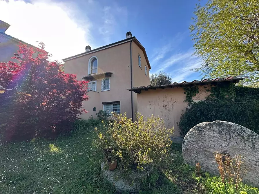 Immagine 1 di Casa colonica in vendita  a Crespina Lorenzana