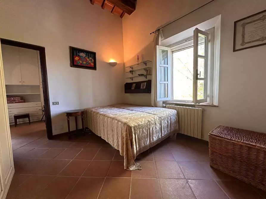 Immagine 29 di Casa colonica in vendita  a Crespina Lorenzana