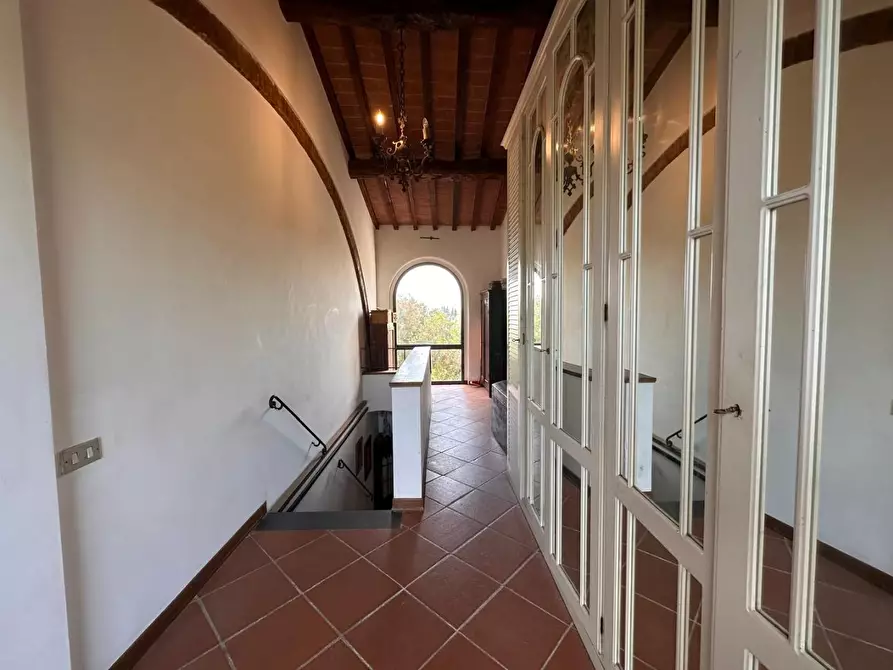 Immagine 20 di Casa colonica in vendita  a Crespina Lorenzana