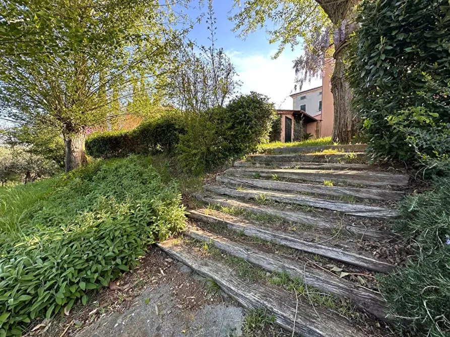 Immagine 56 di Casa colonica in vendita  a Crespina Lorenzana