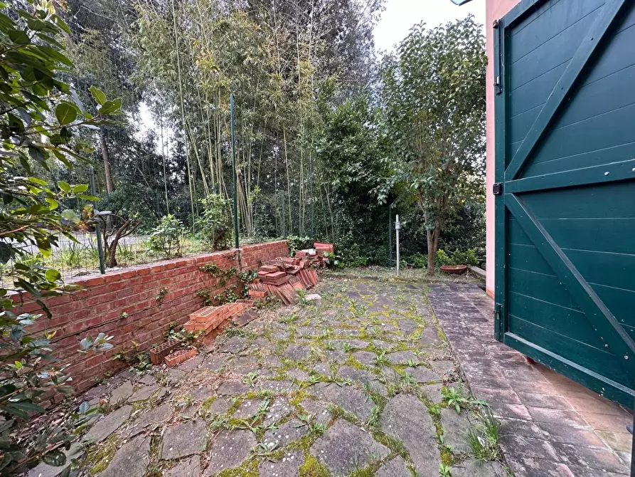 Immagine 49 di Casa colonica in vendita  a Crespina Lorenzana