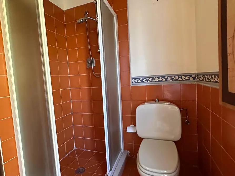 Immagine 32 di Casa colonica in vendita  a Crespina Lorenzana