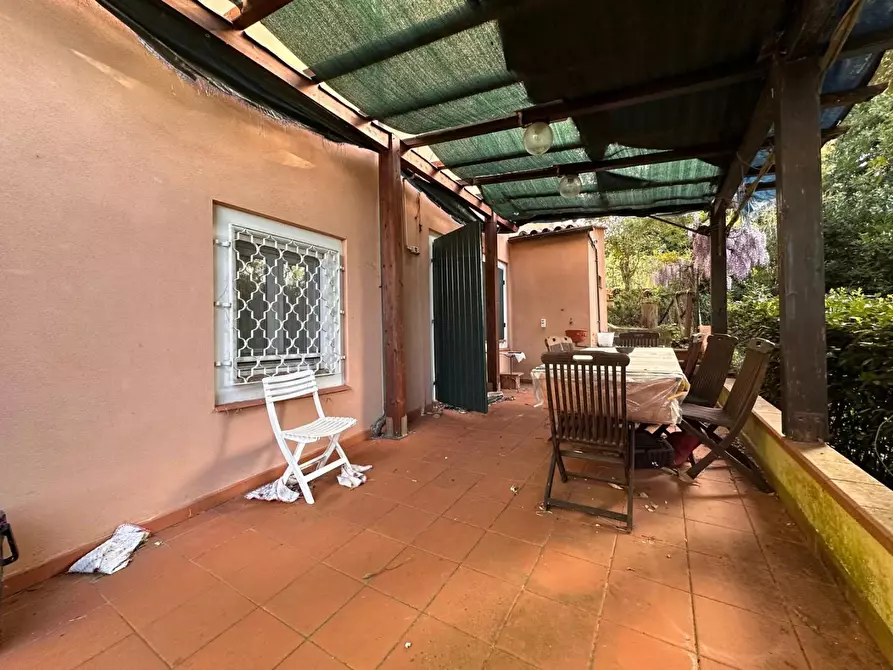 Immagine 35 di Casa colonica in vendita  a Crespina Lorenzana