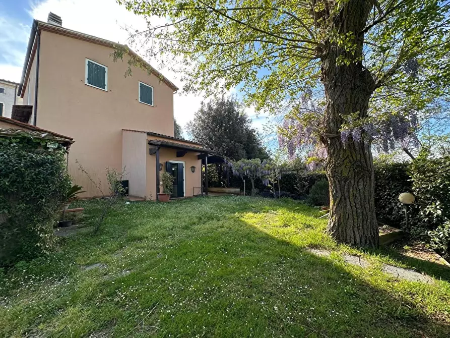 Immagine 45 di Casa colonica in vendita  a Crespina Lorenzana