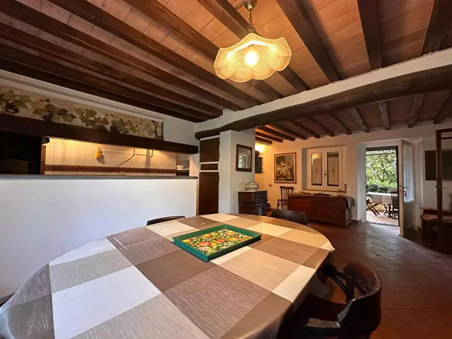 Immagine 7 di Casa colonica in vendita  a Crespina Lorenzana