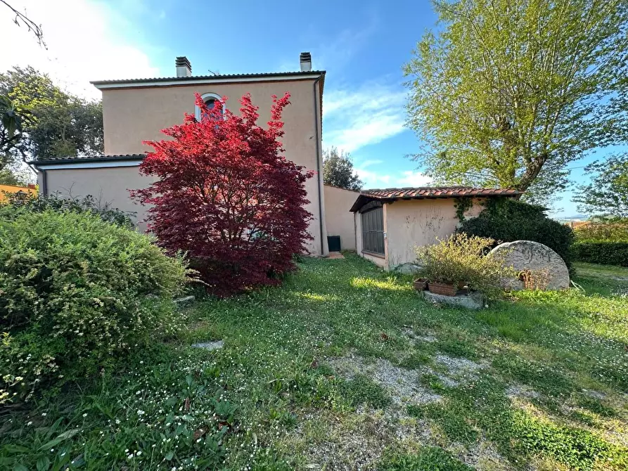 Immagine 40 di Casa colonica in vendita  a Crespina Lorenzana