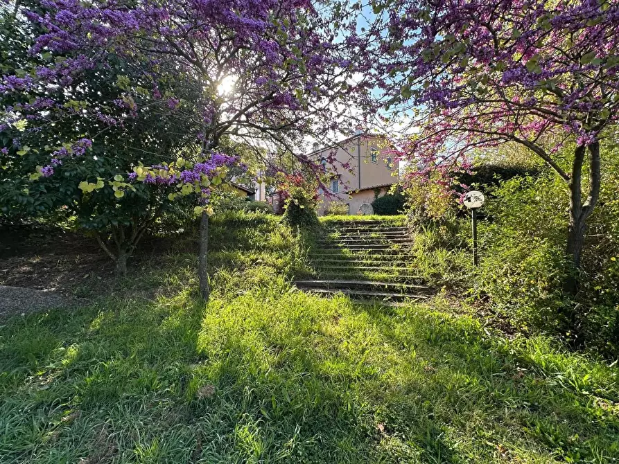 Immagine 41 di Casa colonica in vendita  a Crespina Lorenzana