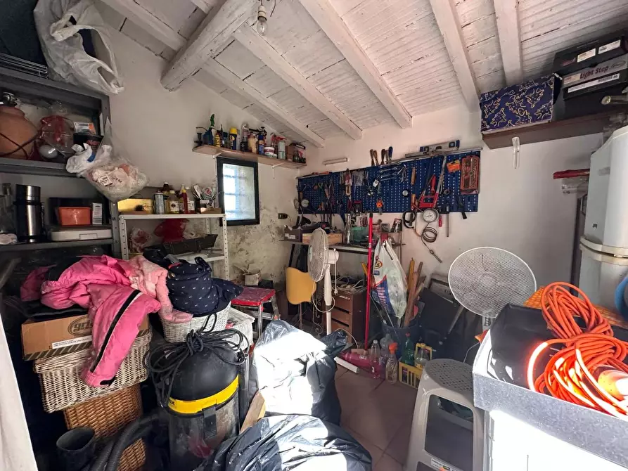 Immagine 34 di Casa colonica in vendita  a Crespina Lorenzana